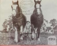 Autumn ploughing at Bayswater, 1946