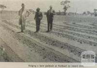 Ridging a bare paddock at Nullawil, 1945