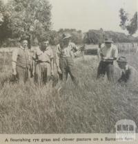 Pasture on Bamawm farm, 1946