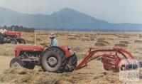 Haymaking, Willaura, 1965