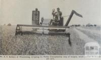 Mallee championship crop, Woomelang, 1956