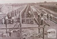 Old and new methods of drying currants and raisins, Mildura, 1917