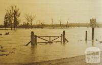 Como Park in South Yarra flooded, October 1923