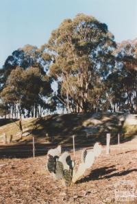 Near mine site, Betley, 2010