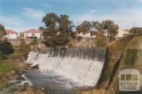 Merri Creek, Coburg North, 2010