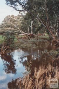 Muckleford Creek, Pyrenees Highway, 2010