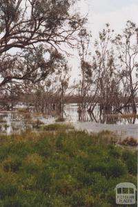 Lake Lalbert, 2010