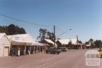 General Store and Hall, Snake Valley, 2010