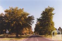 Avenue of Honour, Scarsdale, 2010