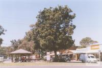 Main Street, Mallacoota, 2011