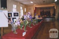 Flower Show, Mechanics Institute Hall, Skipton, 2011