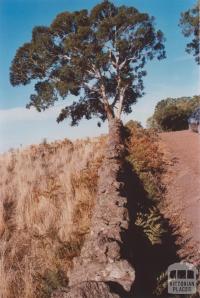 Stone Fence, Pomborneit, 2013