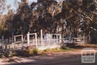 Old Punt, Barmah, 2012