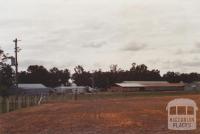 Poultry Farm, Tamleugh, 2012