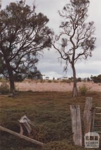 Paddocks, Eynesbury, 2012