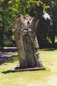 Scarred Tree, Fitzroy Gardens, Melbourne, 2000