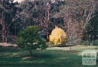 Kirks Reservoir, Ballarat, 1980