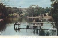 A corner of Jubilee Lake, Daylesford, 1957