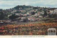 Panorama looking towards Wombat Hill at Daylesford, 1957