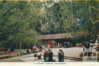 At Central Springs, Daylesford, 1957