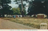 Caravans in Victoria Park Camping Ground, Daylesford, 1957