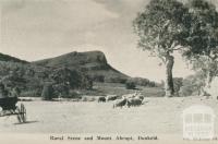 Rural scene and Mount Abrupt, Dunkeld, 1952