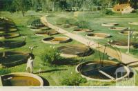 Circular Ponds at the Snob's Creek Fish Hatcheries