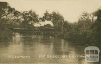 Railway Bridge over Goulburn River, Molesworth