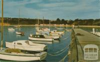 The pier at Mornington, 1961