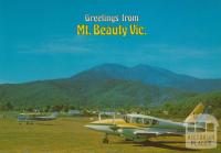 Mount Beauty Aerodrome with Mt Bogong in background