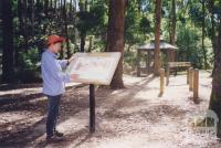 Wombat Forest Mineral Spring, Lyonville