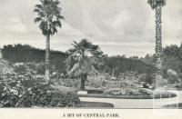 A Bit of Central Park, Stawell, c1925