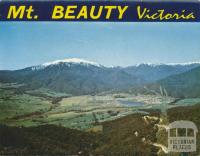 Mt Beauty Township and Mt Bogong from Power Line Lookout