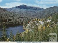 Bogong Village and Junction Dam