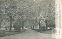 The Fitzroy Gardens, Melbourne, 1904