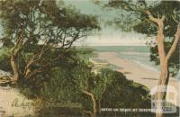 Baths on Beach at Queenscliff