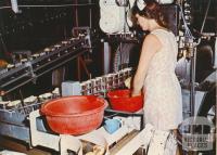 The canning process of pears at S.P.C., Shepparton