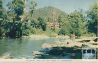 Swimming pool on the Yarra at Warburton