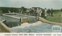 Governor Carmichael and party, Irrigation Channel, White Cliffs, Mildura, c1910