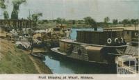 Fruit shipping at wharf, Mildura