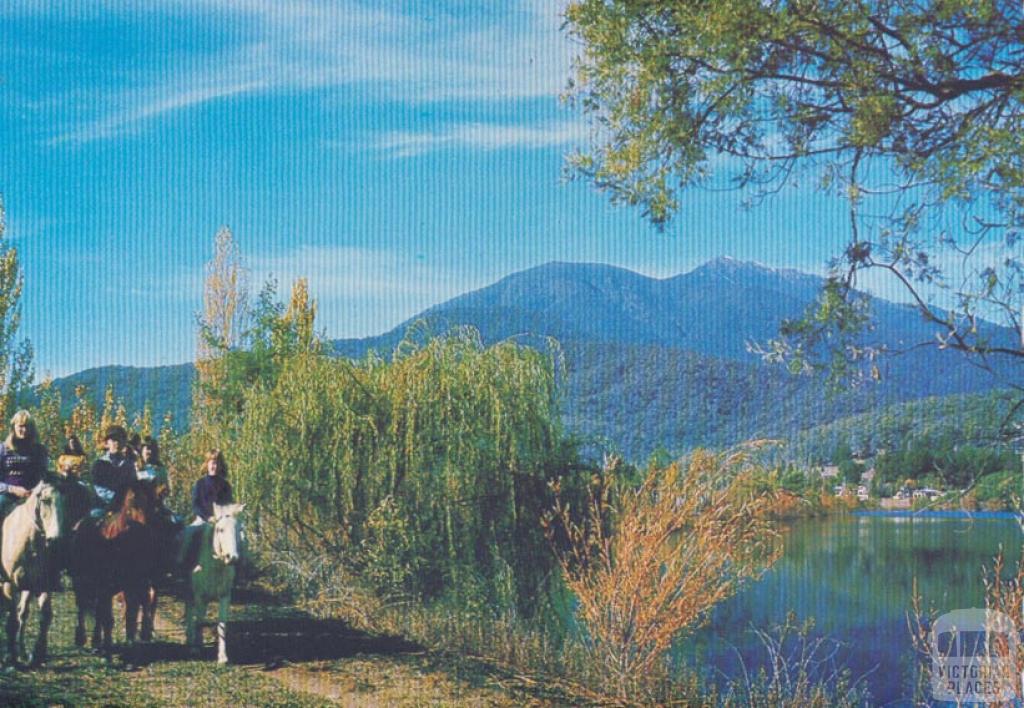 Horseriding and Mt Bogong from the Pondage Lake, Mount Beauty