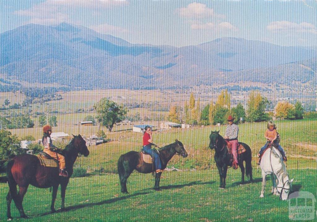 Horseriding, a popular pastime around Mount Beauty