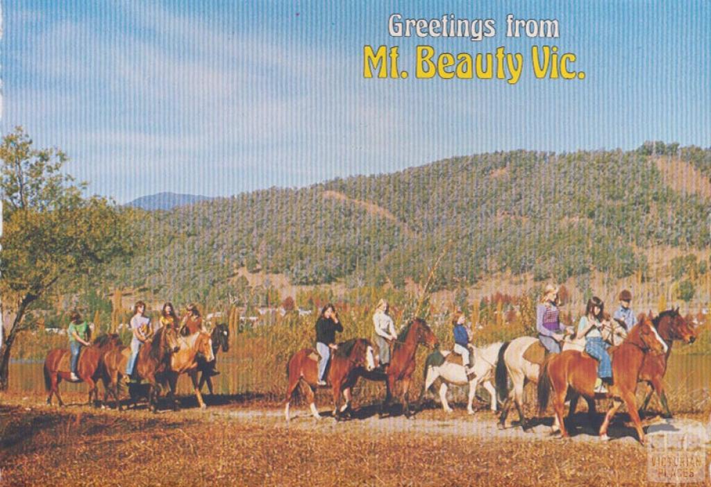 Horseriding. A popular pastime around Mount Beauty