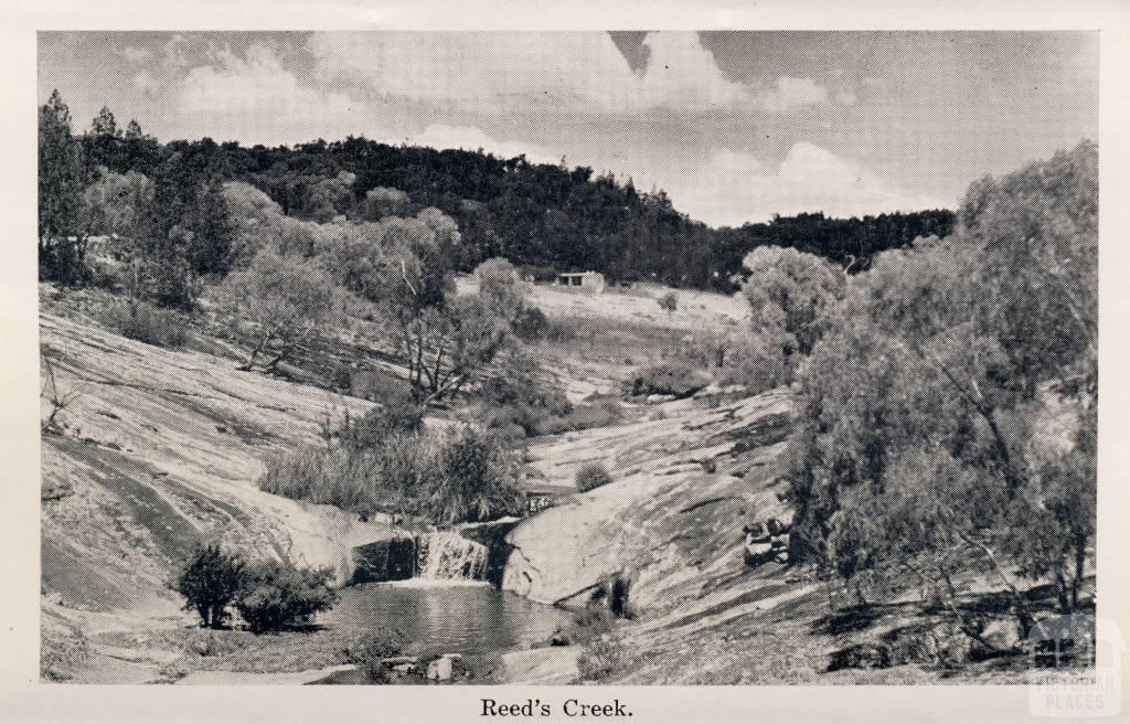 Reed's Creek, Beechworth