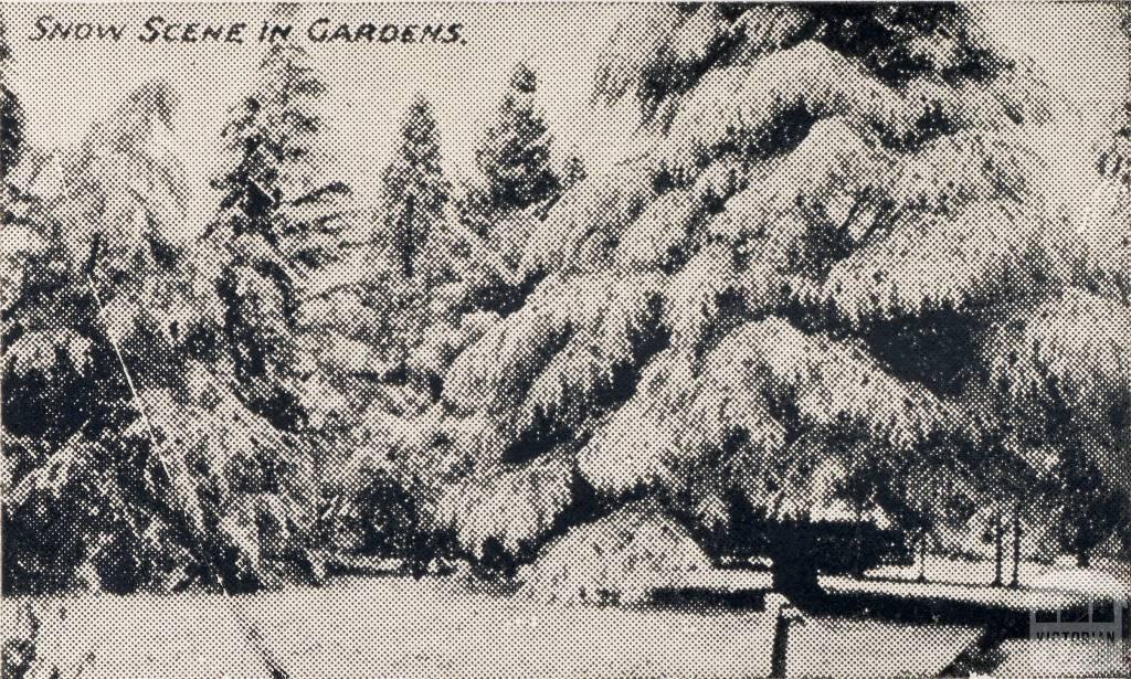 Snow scene in gardens, Beechworth