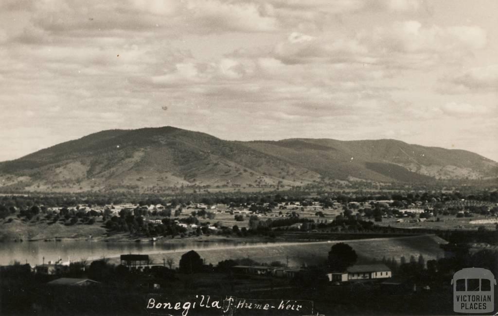 Bonegilla