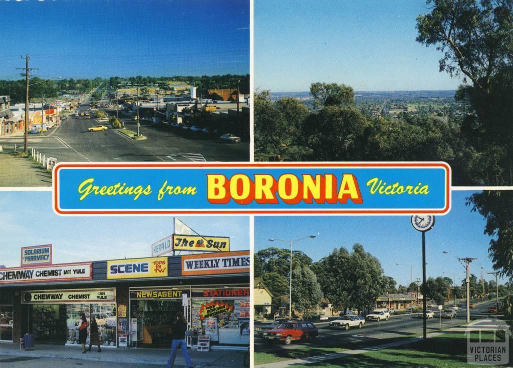 Boronia