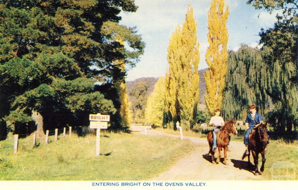 Entering Bright on the Ovens Valley