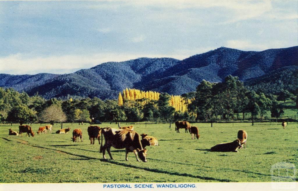 Pastoral scene, Wandiligong