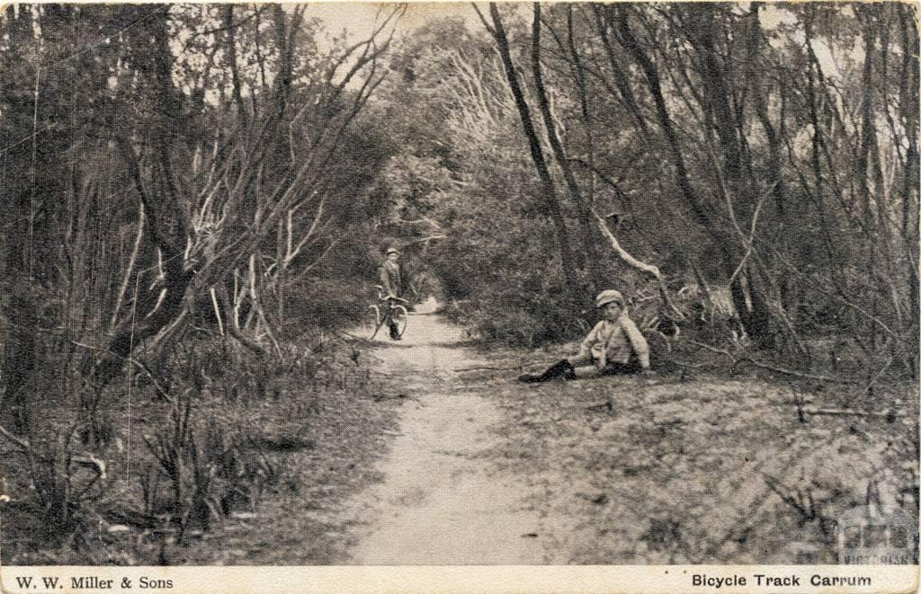 Bicycle track, Carrum